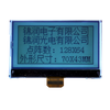 仪器仪表中的定制工业 LCD 显示模块