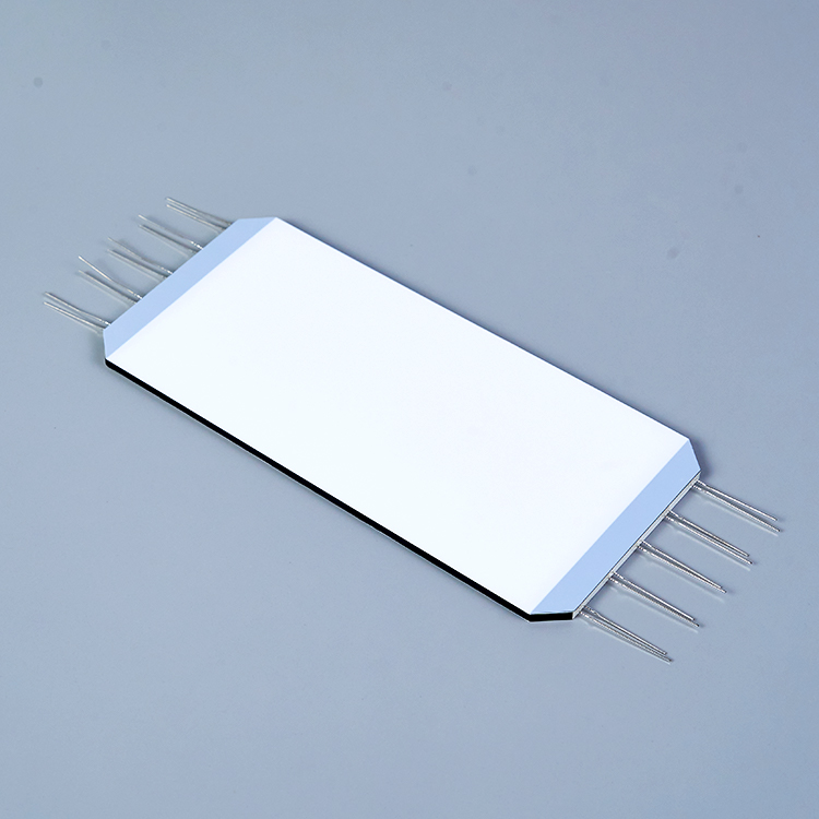 适用于加油机的白色背光 LCD 模块